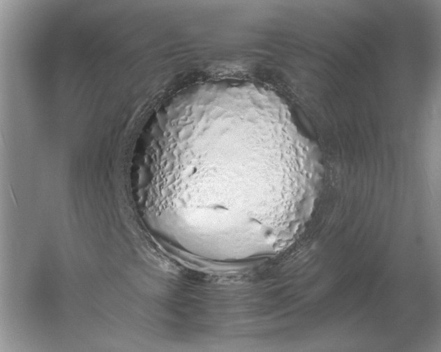 X0000061721393200512161543