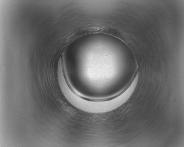 X0000061721394200512161543