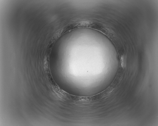 X0000061721395200512161543