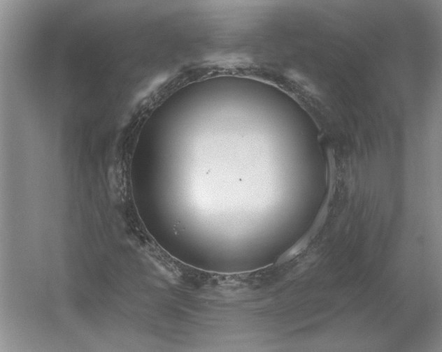 X0000061721398200512161543