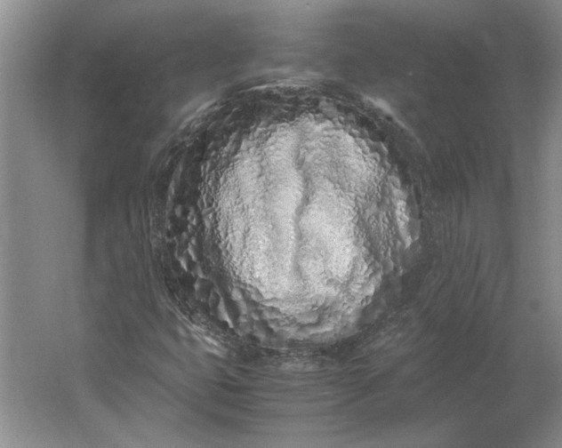 X0000061721399200512161543