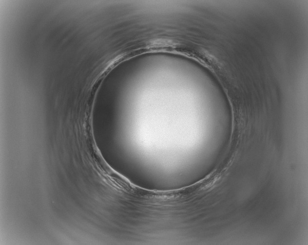 X0000061721401200512161543