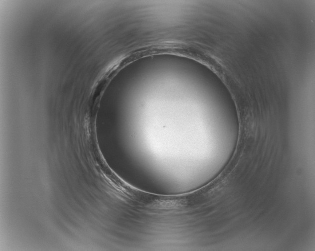 X0000061721402200512161543