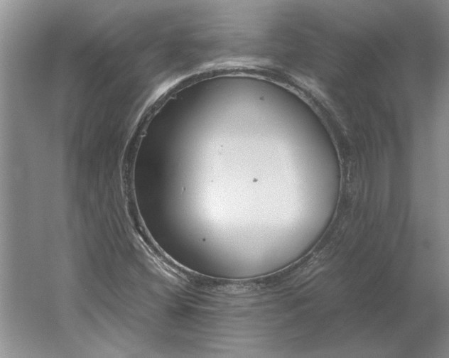 X0000061721404200512161543