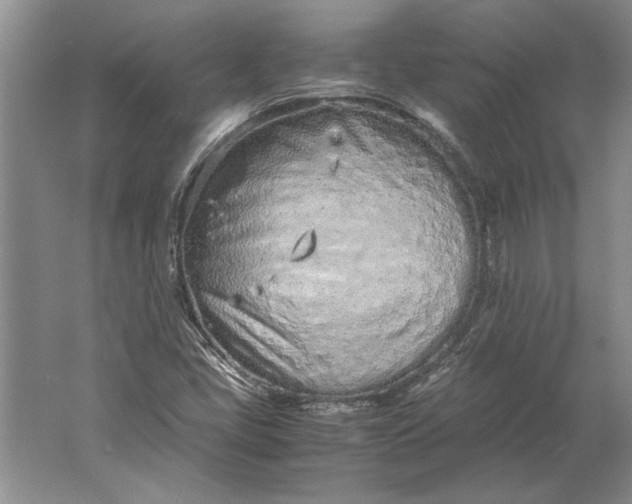 X0000061721405200512161543