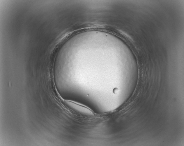 X0000061721407200512161543