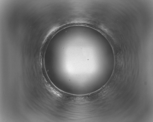 X0000061721408200512161543