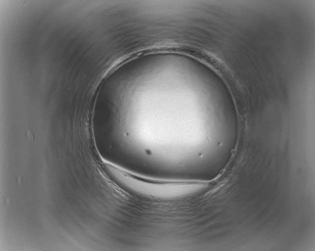 X0000061721409200512161543