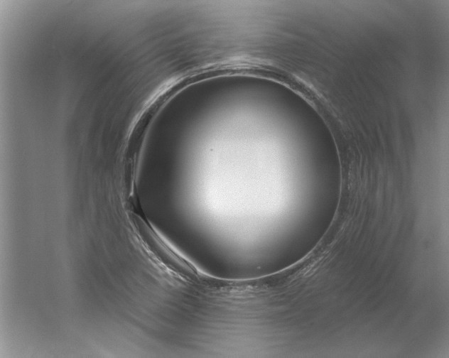 X0000061721410200512161543