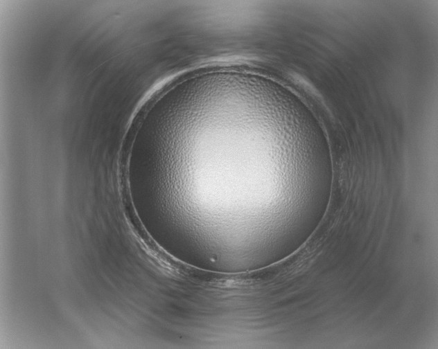 X0000061721412200512161543