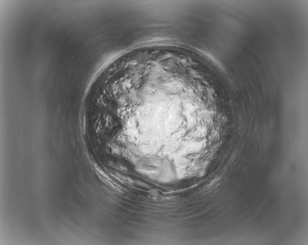 X0000061721413200512161543