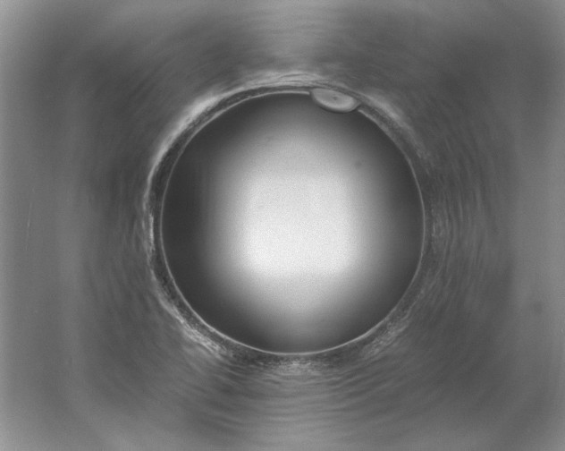 X0000061721414200512161543