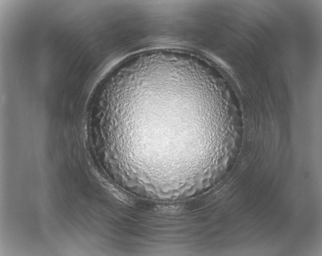 X0000061721415200512161543