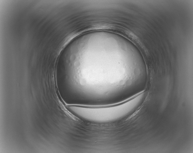 X0000061721417200512161543