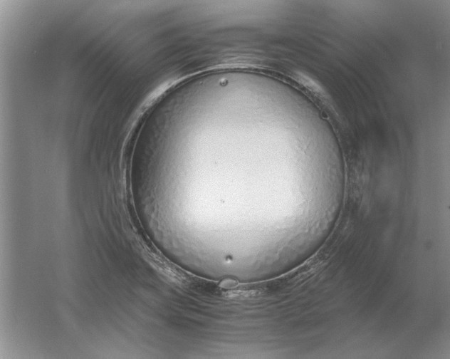 X0000061721419200512161543