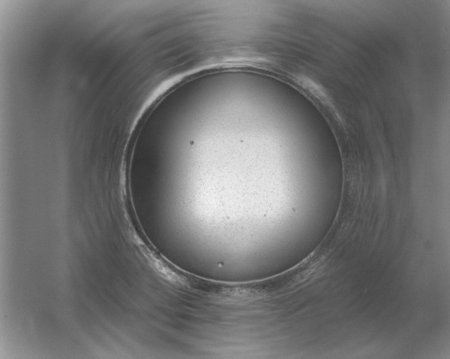 X0000061721420200512161543