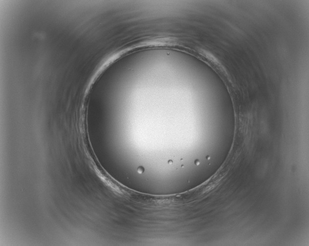 X0000061721421200512161543