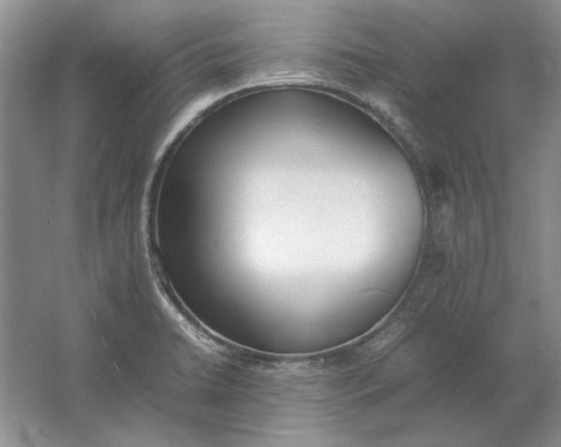 X0000061721422200512161543