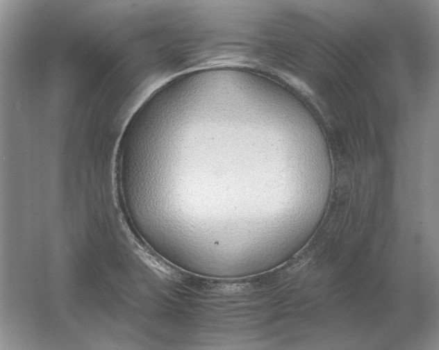 X0000061721423200512161543