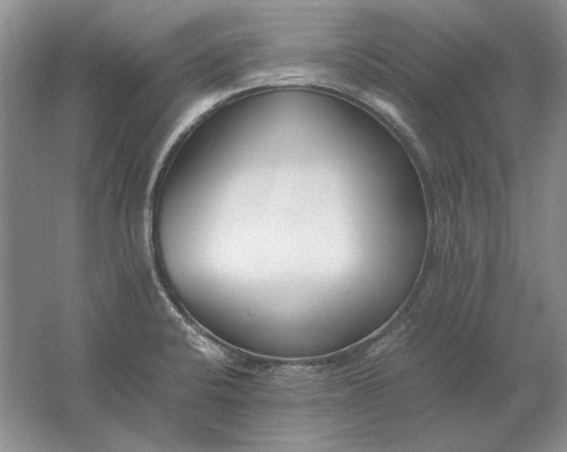 X0000061721424200512161543