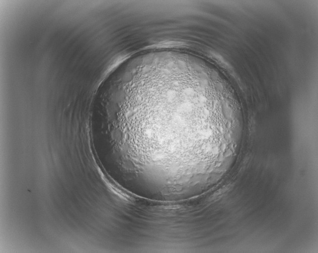 X0000061721425200512161543