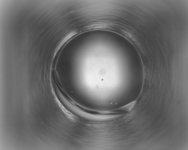 X0000061721426200512161543