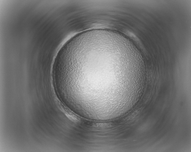 X0000061721427200512161543