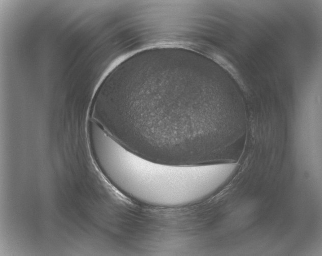 X0000061721428200512161543