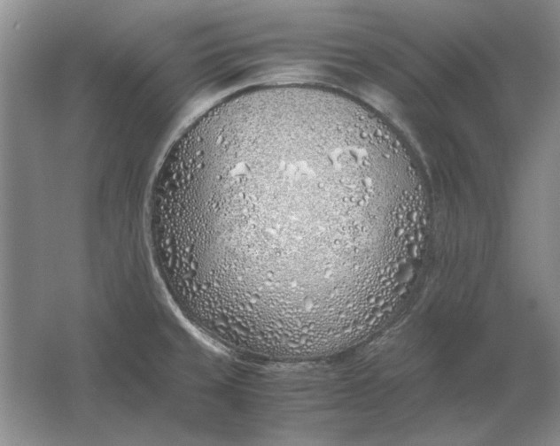 X0000061721429200512161543