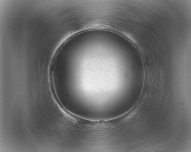 X0000061721430200512161543