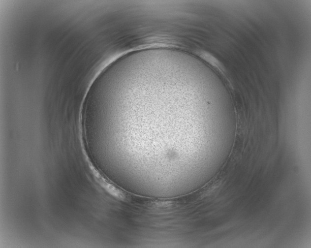 X0000061721431200512161543