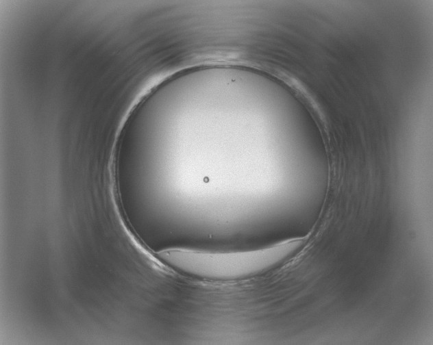 X0000061721432200512161543