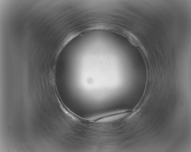 X0000061721433200512161543