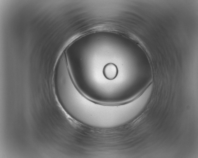 X0000061721434200512161543