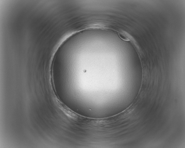 X0000061721435200512161543