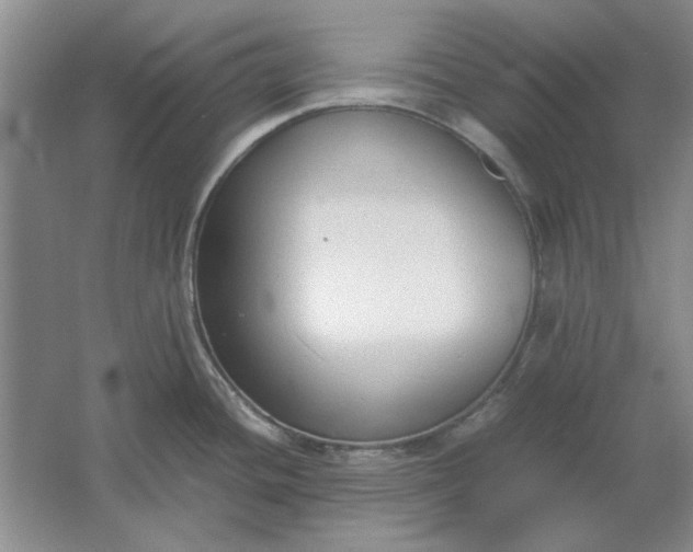 X0000061721436200512161543