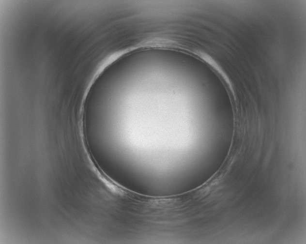 X0000061721437200512161543