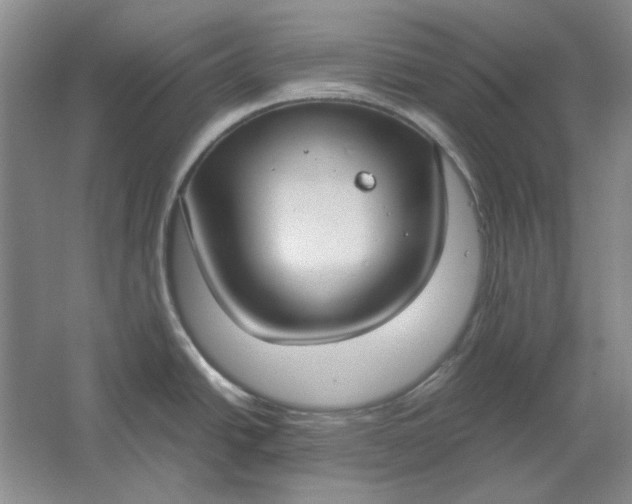 X0000061721438200512161543