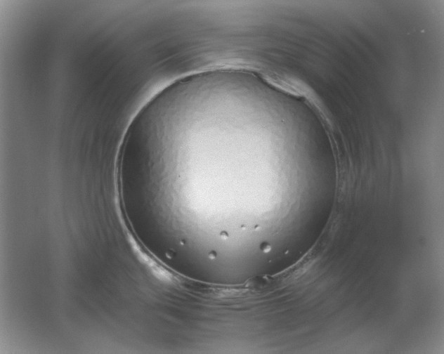 X0000061721439200512161543