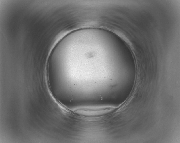 X0000061721440200512161543