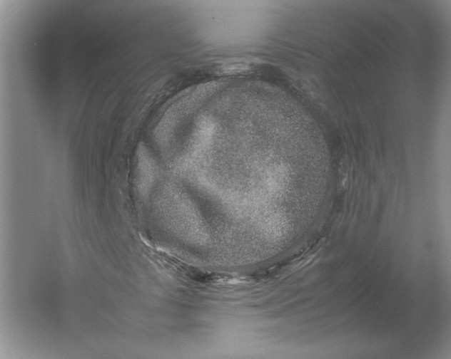 X0000061721441200512161543