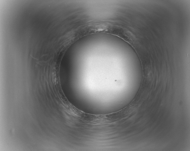 X0000061721442200512161543