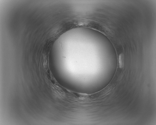 X0000061721443200512161543