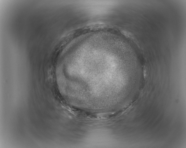 X0000061721445200512161542