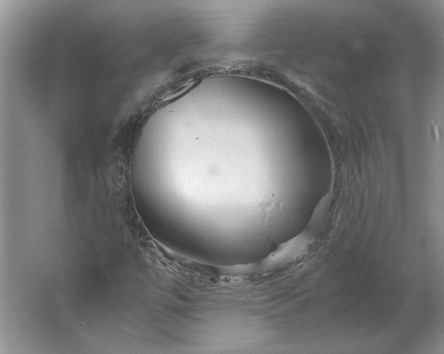 X0000061721447200512161542