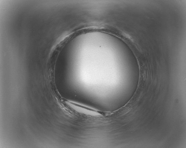 X0000061721448200512161542