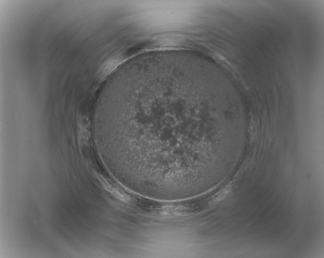 X0000061721449200512161542