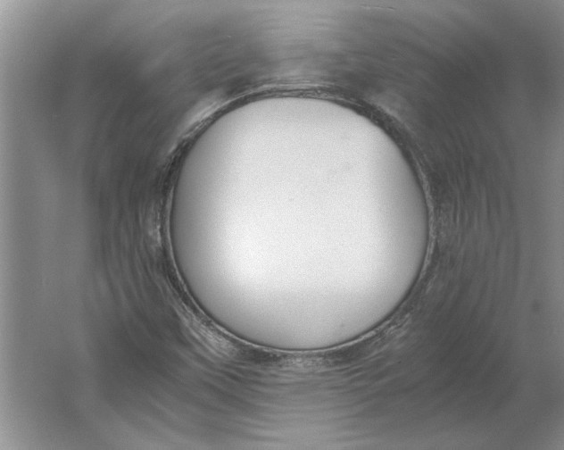 X0000061721451200512161542