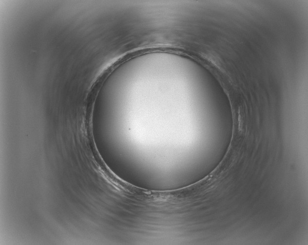 X0000061721452200512161542