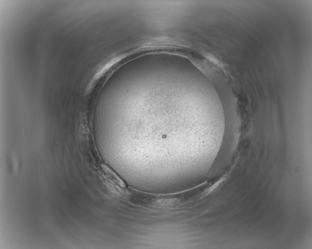 X0000061721453200512161542